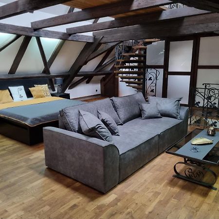 Galerie Vila Lucia 5 -Loft Apartman Plzeň Eksteriør bilde