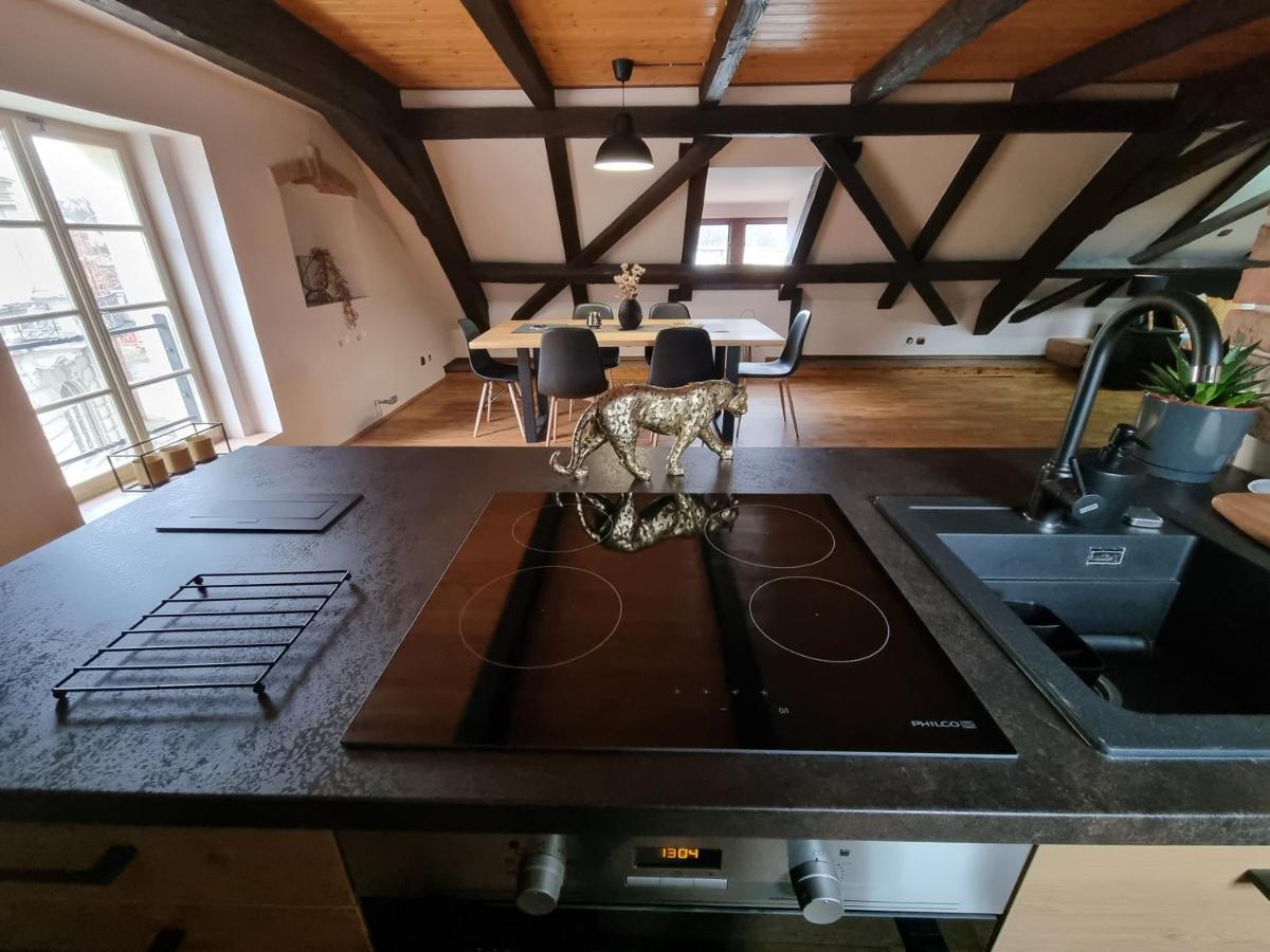 Galerie Vila Lucia 5 -Loft Apartman Plzeň Eksteriør bilde