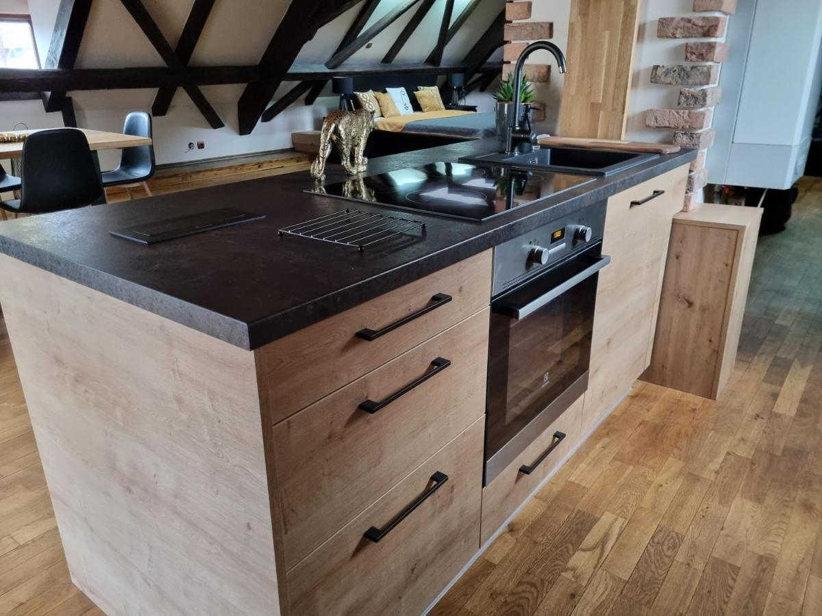 Galerie Vila Lucia 5 -Loft Apartman Plzeň Eksteriør bilde