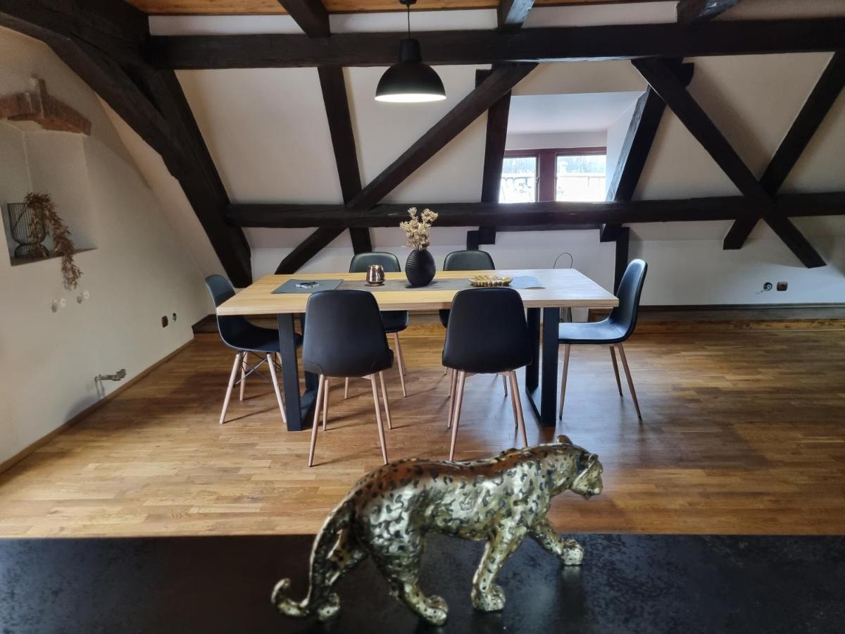Galerie Vila Lucia 5 -Loft Apartman Plzeň Eksteriør bilde