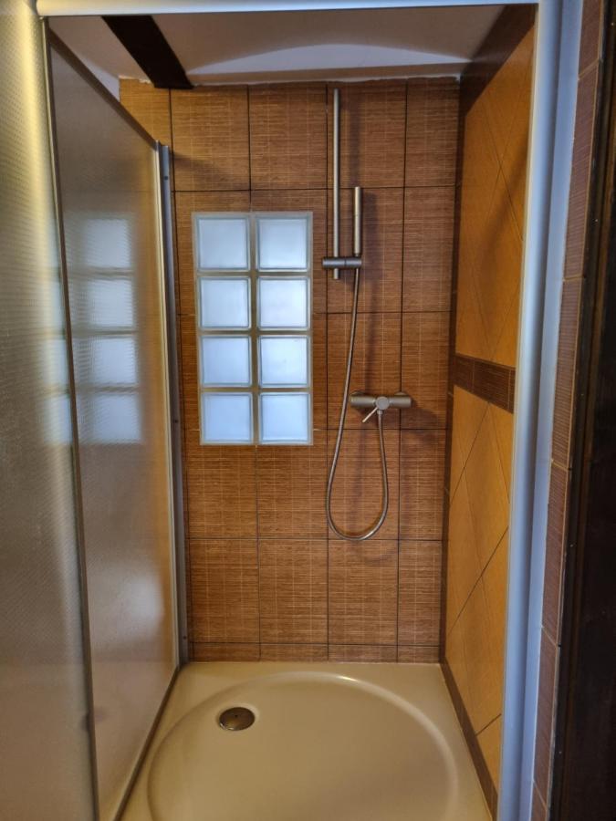 Galerie Vila Lucia 5 -Loft Apartman Plzeň Eksteriør bilde