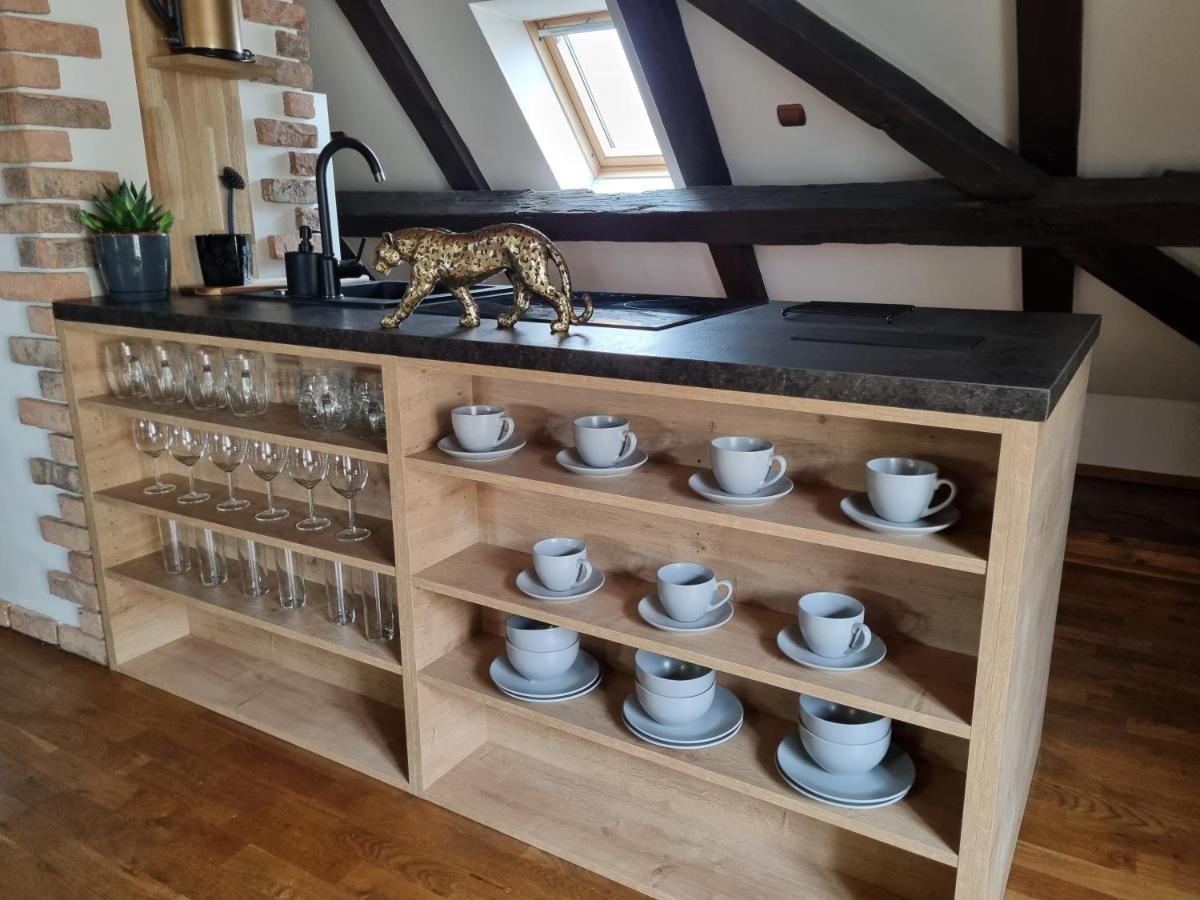 Galerie Vila Lucia 5 -Loft Apartman Plzeň Eksteriør bilde